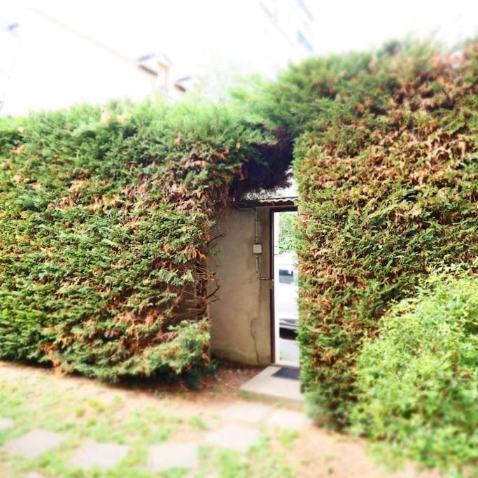 Maison Faure - Centre Ville - Jardin - Garage Vichy Exterior photo